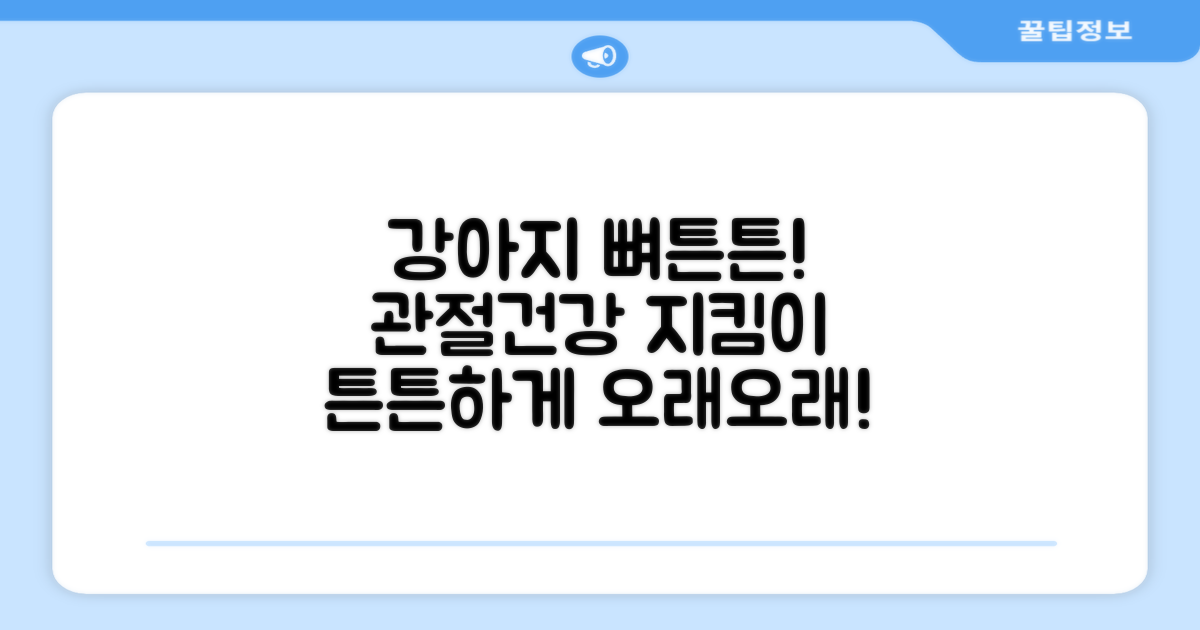 강아지 뼈/관절 건강 지킴이