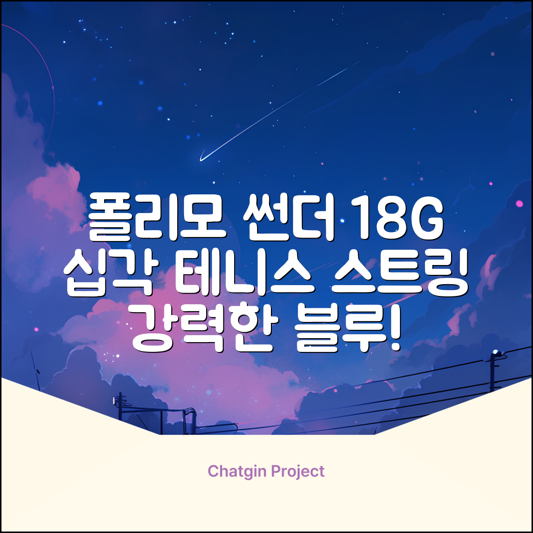 존스 POLYMO THUNDER 18G 십각 테니스 스트링, 블루, 1개 추천 리뷰