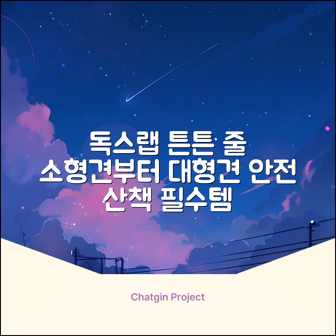 독스랩 1.5m 2m 3m 5m 스트롱 로프 소형견 중형견 대형견 줄 강아지 리드줄 산책줄, 블랙, 1개 추천 리뷰