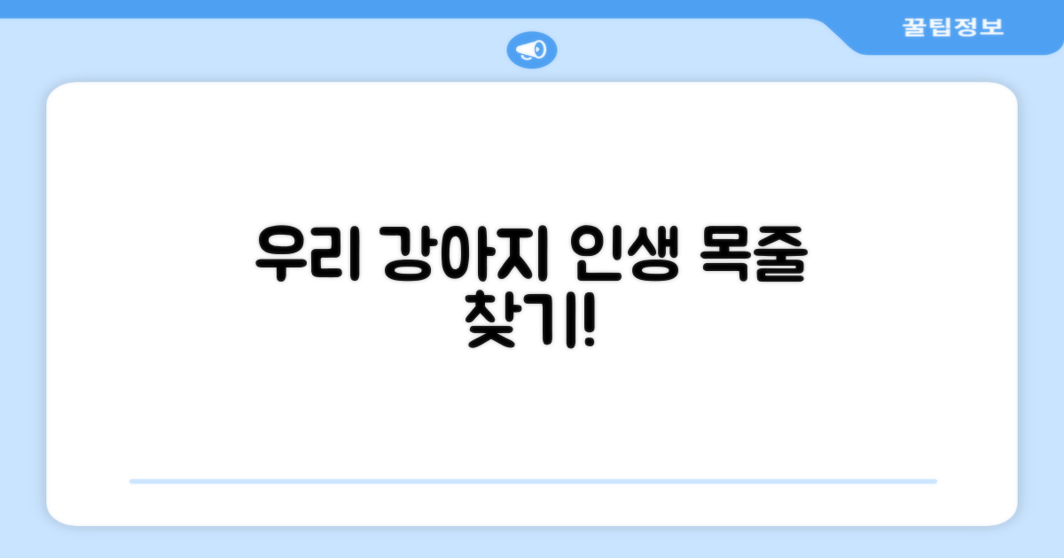 우리 강아지에게 딱 맞는 목줄 고르기!