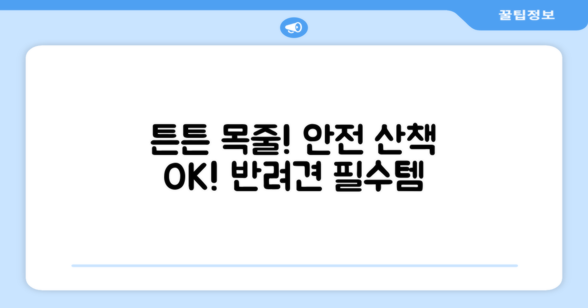 튼튼한 목줄, 안전하게 산책하세요!