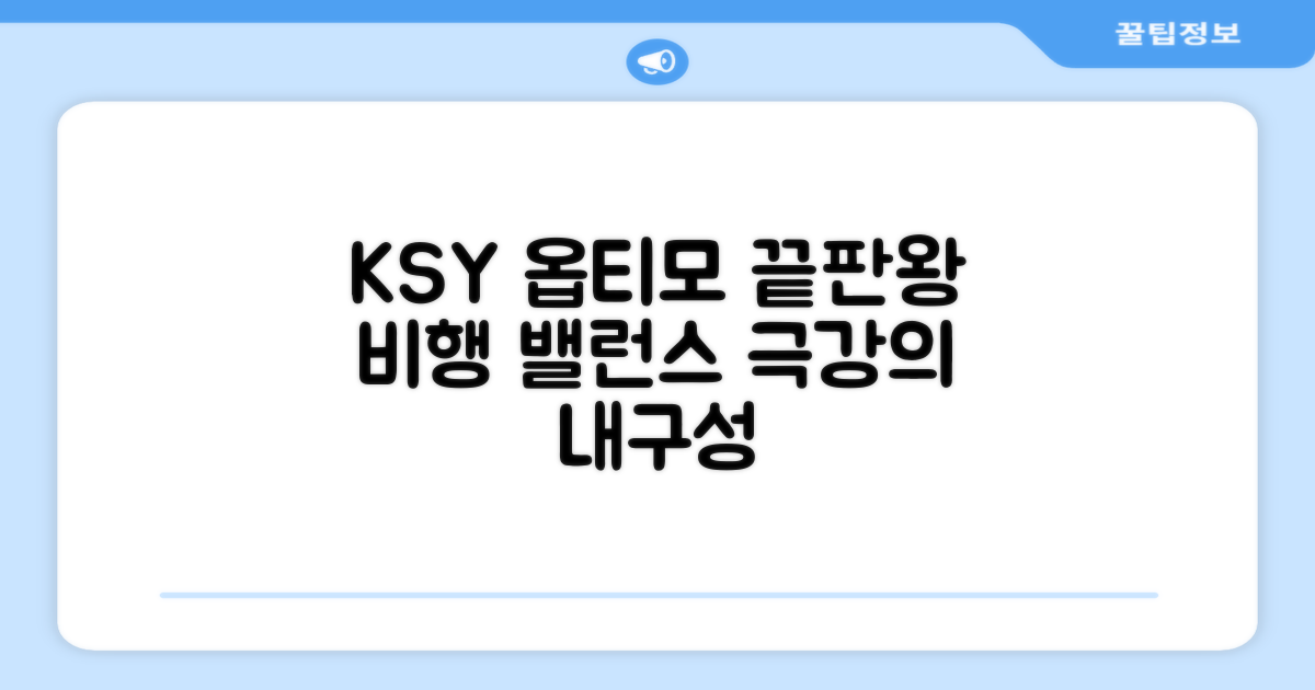 ksy 옵티모: 내구성과 비행 밸런스