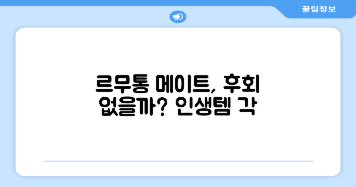 르무통 메이트, 후회 없을까?