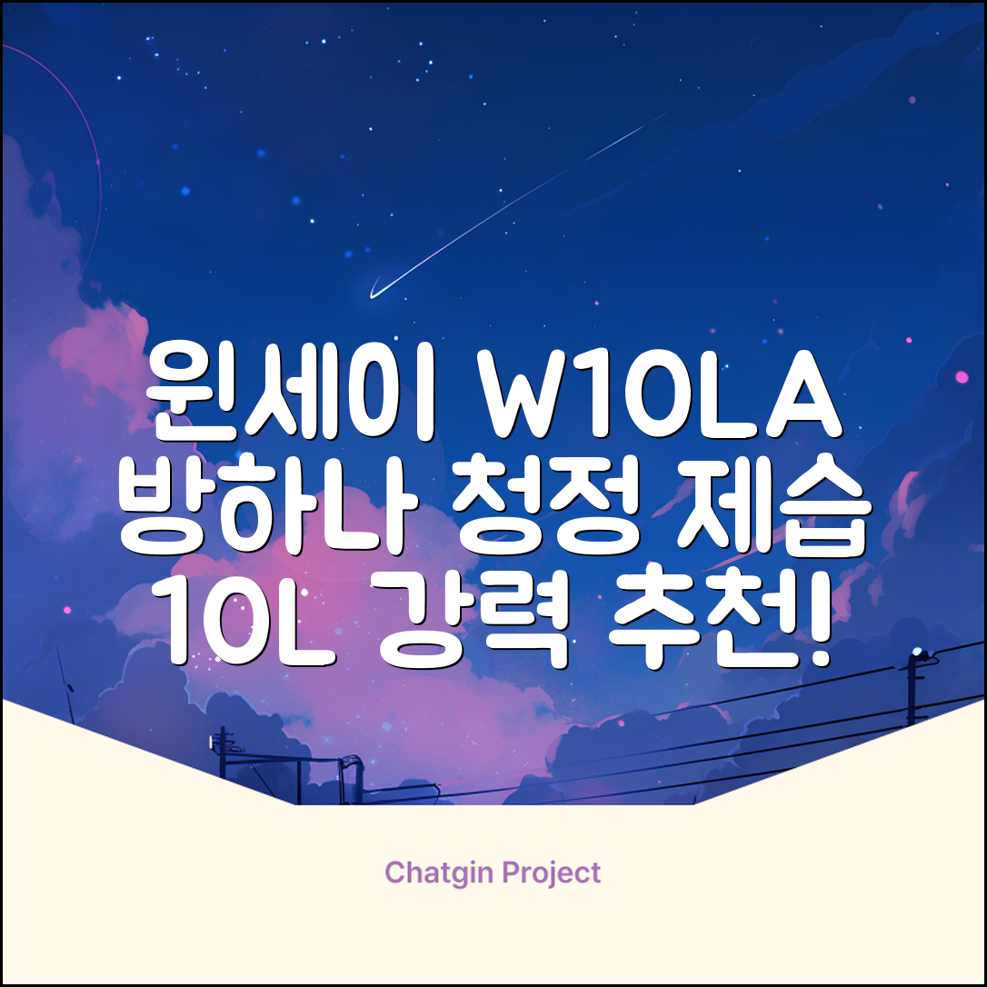 윈세이 인버터 방하나 공기청정 제습기 10L W10LA 추천 리뷰