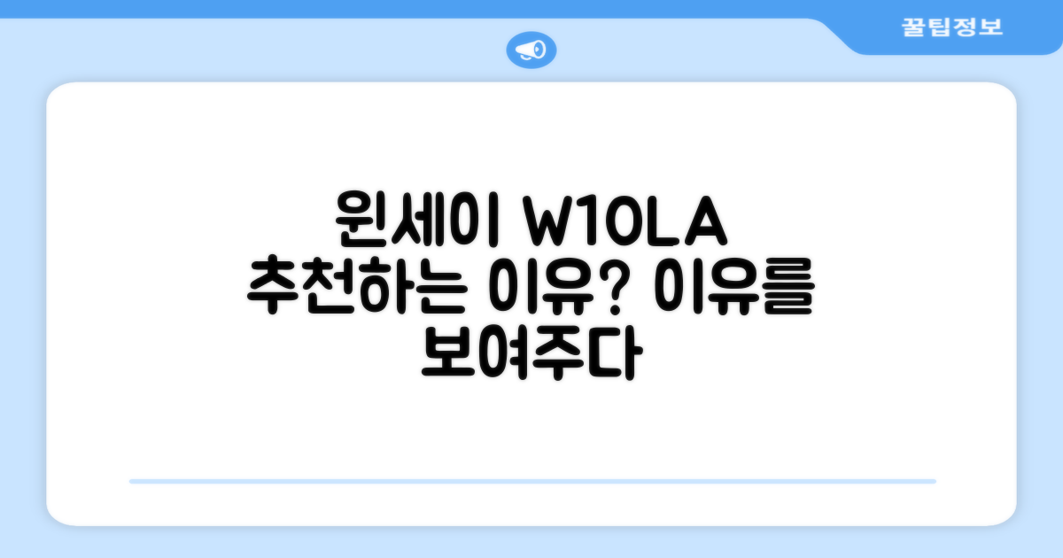 윈세이 W10LA, 왜 추천할까?