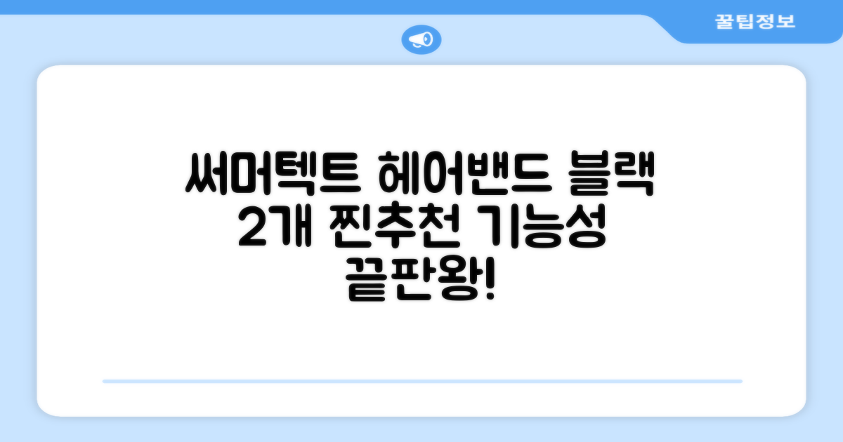 써머텍트 기능성 헤어밴드, 블랙, 2개 추천 리뷰
