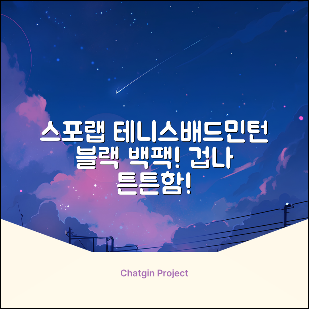 스포랩 테니스 가방 배드민턴 백팩, 블랙, 1개 추천 리뷰