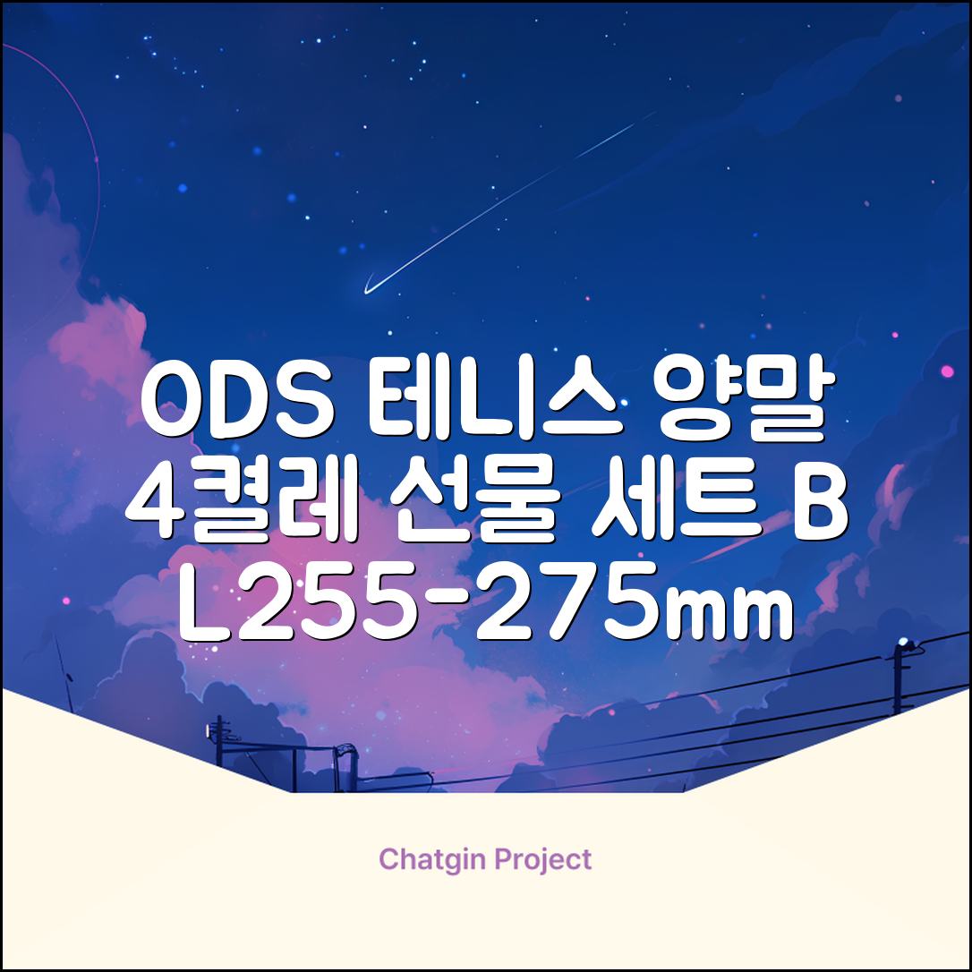 [오드삭스] 테니스 양말 세트B 4켤레 선물용, L(255mm-275mm), 1개 추천 리뷰