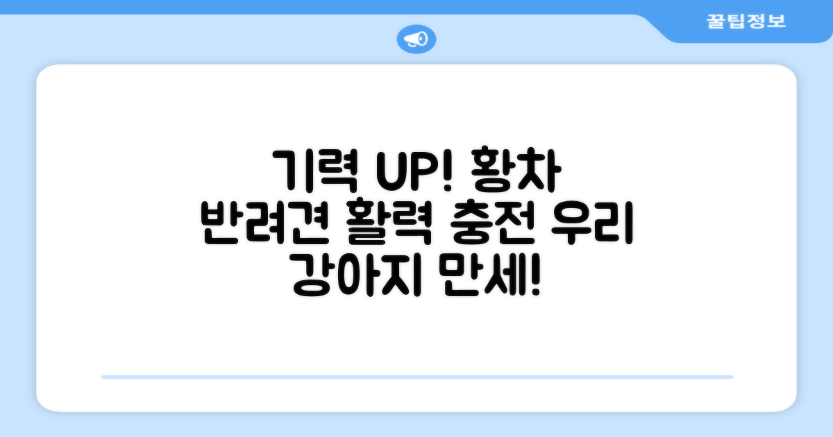 강아지 기력 회복, 황차로!